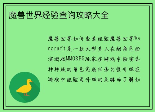 魔兽世界经验查询攻略大全